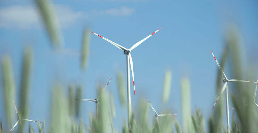 Windkraftanlagen aus der Perspektive im Feld aufgenommen. Im Hintergrund erscheint ein wolkenloser Himmel.