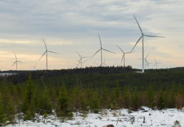 Windkraftanlagen stehen im Wald. Im Vordergrund ist der Boden mit Schnee bedeckt.