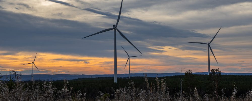 Windpark_Schweden_BigZlatan_LU6A1837 Vier Windkraftanlagen stehen in einem Wald. Im Vordergrund sind vertrocknete Sträucher. Der mit Wolken bedeckte Himmel ist durch den Sonnenuntergang eingefärbt.