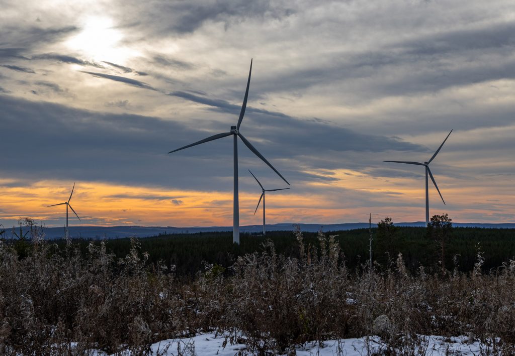 Vier Windkraftanlagen stehen in einem Wald. Im Vordergrund sind vertrocknete Sträucher. Der mit Wolken bedeckte Himmel ist durch den Sonnenuntergang eingefärbt.