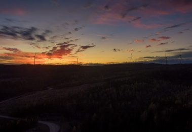 Panoramablick über einen dunklen Wald. Weit hinten sind fünf Windräder vor einem Abendlichen Sonnenuntergang.